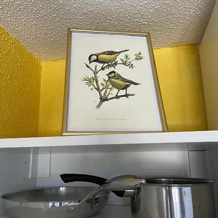 Avec Balcon A 50 M De La Corniche Vendeenne